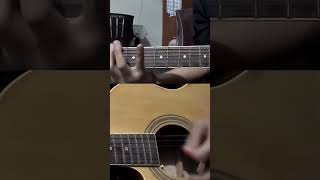 SOAD  Toxicity acoustic cover systemofadown acoustic cover numetal [upl. by Lawlor]