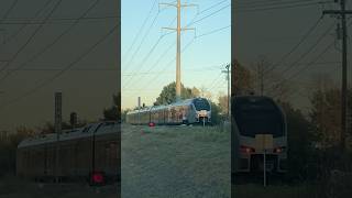 Texrail Bluebonnet  Grapevine Texas [upl. by Kcerred966]