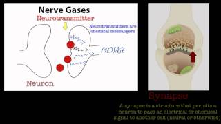 Nerve Gases [upl. by Penn]