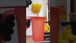 The BEST Way to Make Citrus Juice at Home [upl. by Eirok]