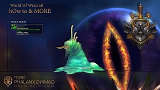 Viscidus Globule Pet from Viscidus in Temple of AhnQiraFury Warrior [upl. by Floro]