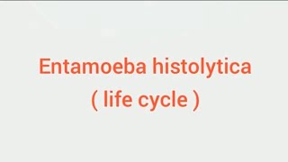 Entamoeba histolytica life cycle hindi Amoebic dysentry parasitic protozoan sciencespectrum07 [upl. by Berhley]