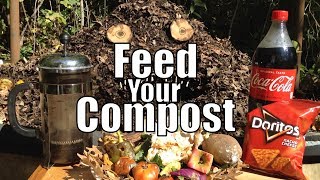 Feed Your Compost 💩 Tips for Starting amp Maintaining A Compost Pile [upl. by Iloj]