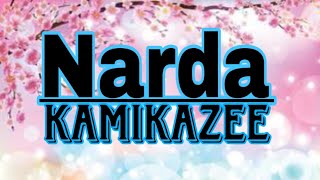 NARDA BY KAMIKAZEE  COVER VIDEO [upl. by Aniham]