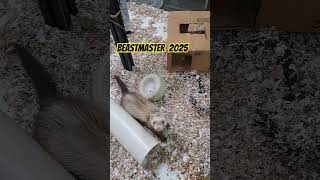 BEASTMASTER 2025 THE FINAL CUT entertainment animals [upl. by Jehius]