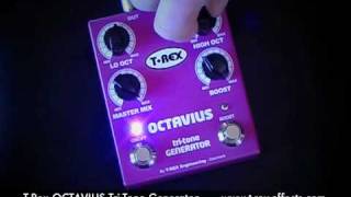 TRex Effects OCTAVIUS TriTone Generator Telecaster to clean channel [upl. by Politi2]