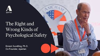 The Right and Wrong Kinds of Psychological Safety [upl. by Sokairyk]