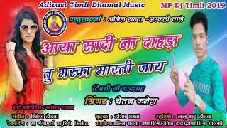 Chetan kanesh aaya sadi na dahda tu maska marti jay adivasi Dhamakedar Nonstop DJ timli 2019 [upl. by Olnton317]