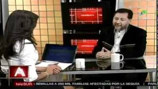 Gerardo Fernández Noroña en Telesur  Venezuela [upl. by Einial]