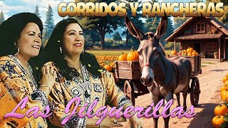 Las Jilguerillas Puras Pá Pistear 20 Exitos de Oro Corridos y Rancheras Viejitas [upl. by Tova511]