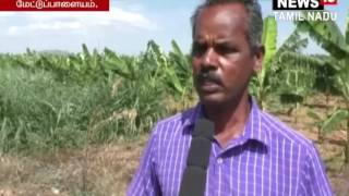 Industrial Effluents and sewage polluting Bavani River News18 Tamil Nadu [upl. by Modestine]