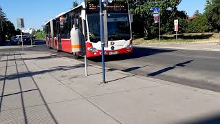 Autobus Linie 32A Großjedlersdorf Jochbergengasse in Wien [upl. by Nogras]