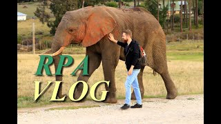 Wakacje w RPA Kapsztad  Safari Addo Park  Przylądek Dobrej Nadziei  Nowy w RPA Vlog [upl. by Telfer]