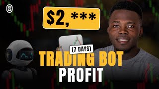 See How Much I Made With Crypto Trading Bots In 7 Days [upl. by Rodrique]