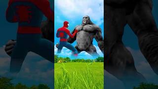 spider man fights king kong to avenge red hulk [upl. by Hanej]