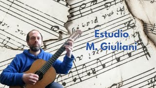 Maestoso  Opus 1 n1  Mauro Giuliani [upl. by Narine]