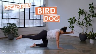 How to do a Bird Dog with Laurence Agenor  The Right Way  WellGood [upl. by Ondine]