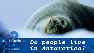 Do people live in Antarctica What to know about the icy continent  JUST CURIOUS [upl. by Kellby106]