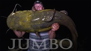 JUMBO Flathead Catfish Mississippi River Minnesota  Northwoods Angling [upl. by Cassondra]