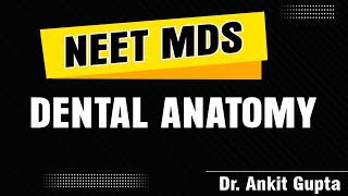 NEET MDS series  Dental Anatomy by Dr Ankit Gupta [upl. by Nertie]