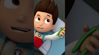 ¡Los cachorros salvan a Travis y a unos amigos emplumados  PAWPatrol Shorts Español [upl. by Hashim648]