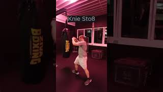 Knie Stoß kampfsporttraining motivation sports martialarts mma [upl. by Antebi]