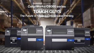 Epson ColorWorks C6000 Series Desktop Colour Label Printers  15s [upl. by Novad]