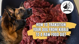 How to Transition Your Dog from Kibble to a Raw Food Diet [upl. by Alletsirhc]