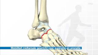 Mobiliteit midtarsale gewricht naar supinatie en pronatie [upl. by Hannie]