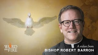 Bishop Barron on the Sacrament of Confirmation [upl. by Swinton639]