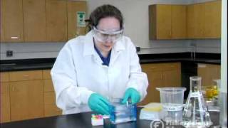 Electrophoresis Basics [upl. by Annanhoj]