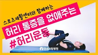 허리 통증을 없애주는 허리운동 [upl. by Adila]