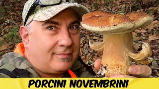 PORCINI NOVEMBRINI  FUNGHI PORCINI NOVEMBRE 2023 [upl. by Drannel297]