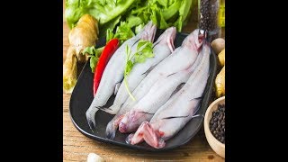 Health Benefits of Bombay Duck Bombil [upl. by Anavrin]