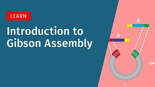 Introduction to Gibson Assembly [upl. by Dnomrej]