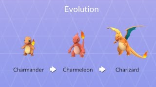 1119CP Charmeleon Evolving Into Charizard Charizard Full Evolution Chain from Charmander [upl. by Brackely899]