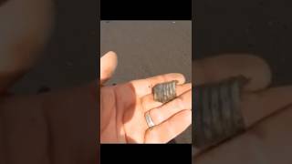 4 ringer found beach metal detecting Scotland amp mudlarking xp deus Dumbarton castle river Clyde [upl. by Htebasile]