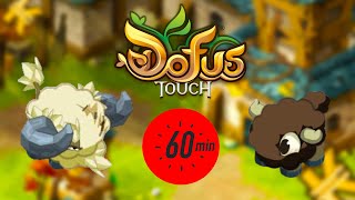 Astuce kamas Dofus Touch 1h  700000 kamas  Tiliwan 5  FR dofustouch dofus astucekamas [upl. by Nodnarb]