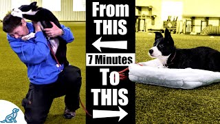 Teach Your Puppy To Calm Down With This 7 Minute Exercise [upl. by Clower]