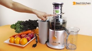 Breville JE98XL Juice Fountain Plus 850Watt Juice Extractor Review [upl. by Noteek]