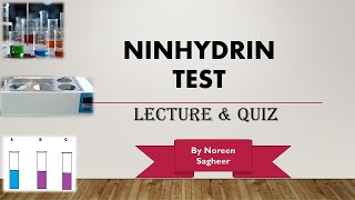 Ninhydrin test biochemistry [upl. by Muriel849]