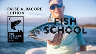 How To Fly Fish for False Albacore in New England Gear Edition [upl. by Rimaj]