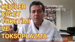 Hamilelikte kedi besleme çiğ şarküteri tüketimi ve toksoplazma [upl. by Lon]