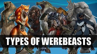 The Werebear A Unique and Crazy Tank Druid Build  DampD 5e [upl. by Sammer]