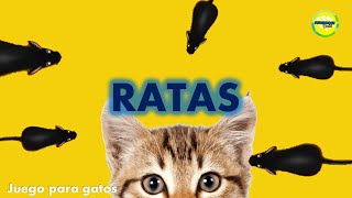 Juego para gatos  Ratones [upl. by Eatnoj111]