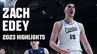 Zach Edey 2023 NCAA tournament highlights [upl. by Leahcimnoj]