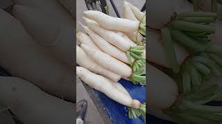 দেশি মুলাviralvideofoodhot video [upl. by Hardigg898]