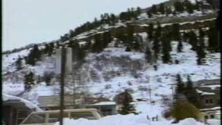 Sled Dogs commercial  1996 [upl. by Baiss]