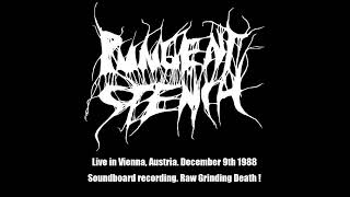 Pungent Stench Aut Live in Vienna Austria December 9th 1988 2024 ReRipMaster GrindDeath [upl. by Asik799]