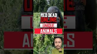 Red dead redemption online unique animals shorts [upl. by Enttirb]